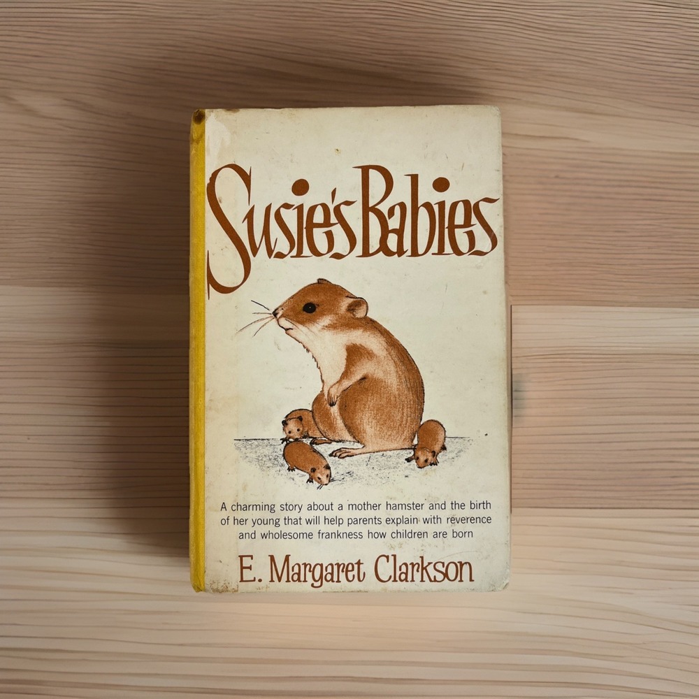 Vintage Susie's Babies Book E.Margaret Clarkson - 1960's How Children Are Born